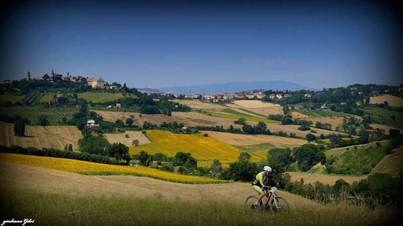 Noleggio Biciclette