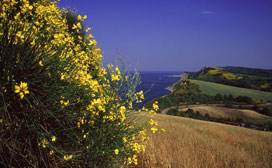 Parco di Monte San Bartolo